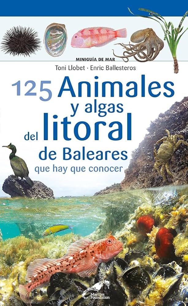 125 animales y algas del litoral balear que debes conocer