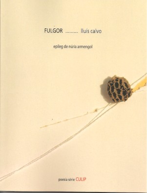 Fulgor