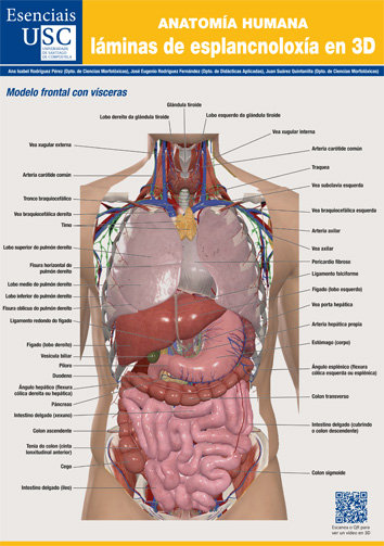 ANATOMIA HUMANA