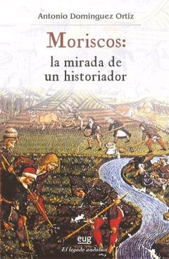 Moriscos: la mirad de un historiador