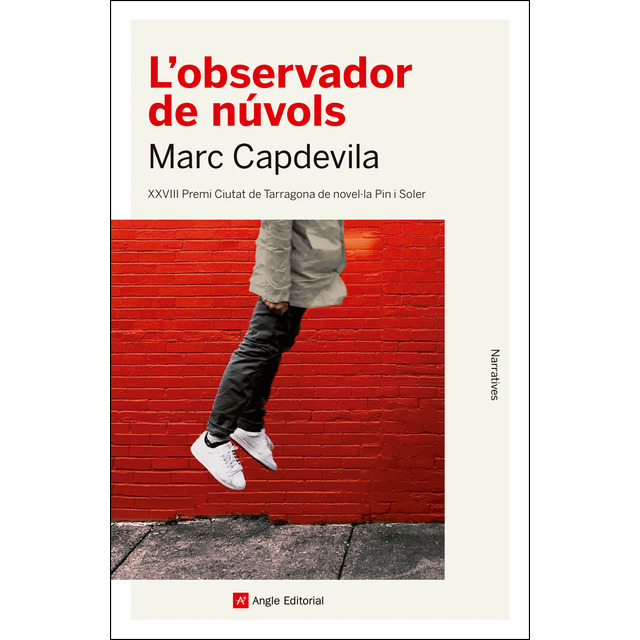 L'observador de núvols