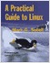 A practical guide  to Linux