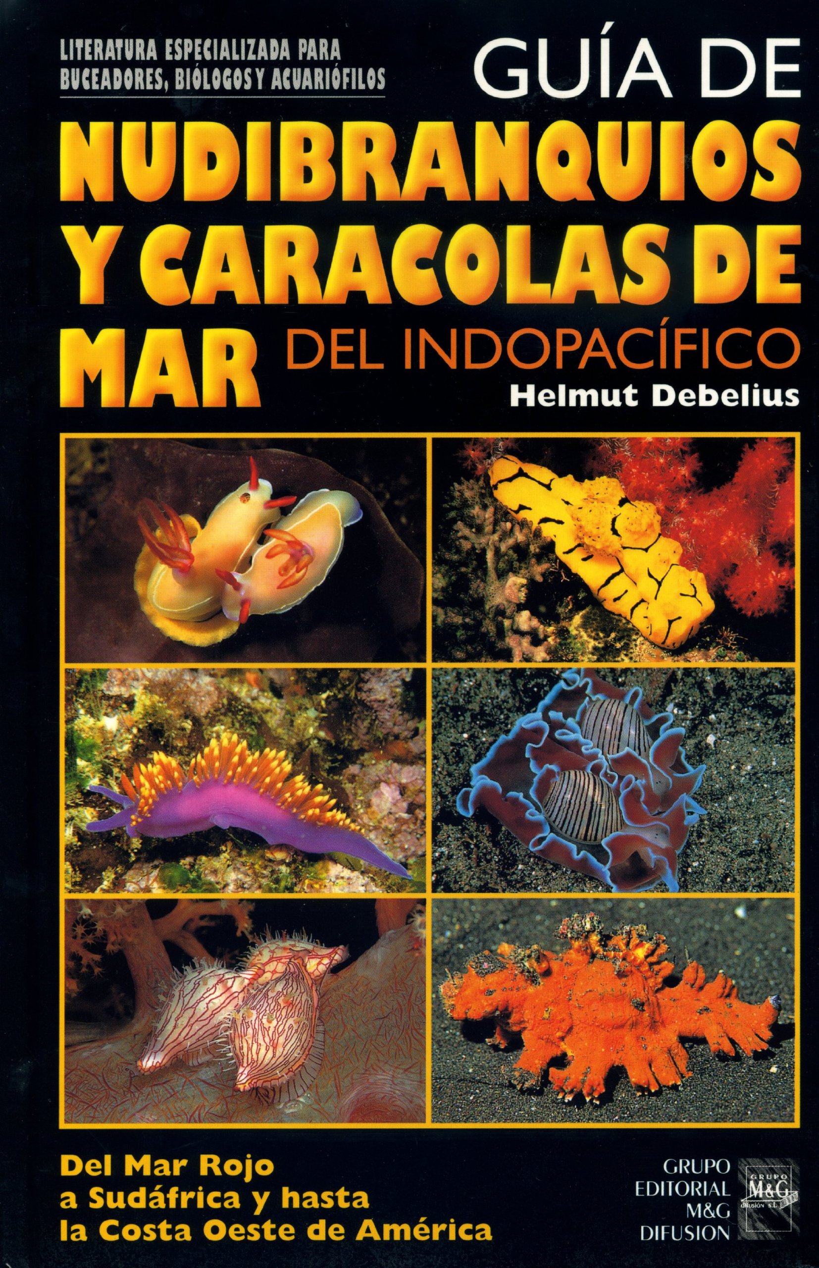 Guía de nudibranquios y caracolas de mar del Indopacífico.