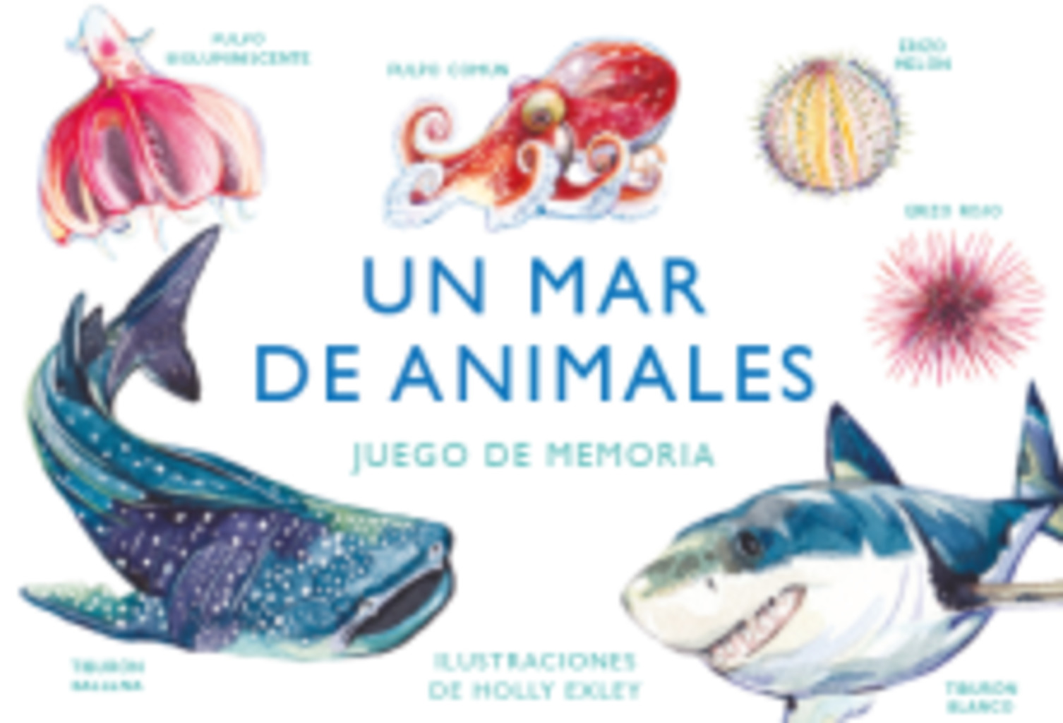 Un mar de animales. Juego de memoria