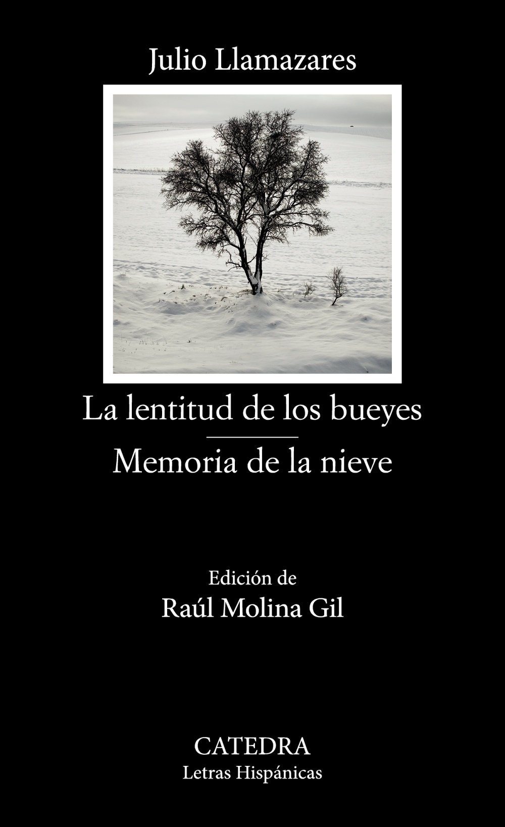 La lentitud de los bueyes · Memoria de la nieve