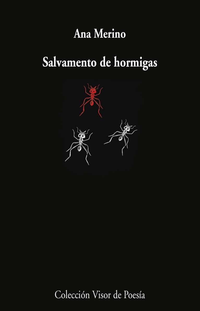 Salvamento de hormigas