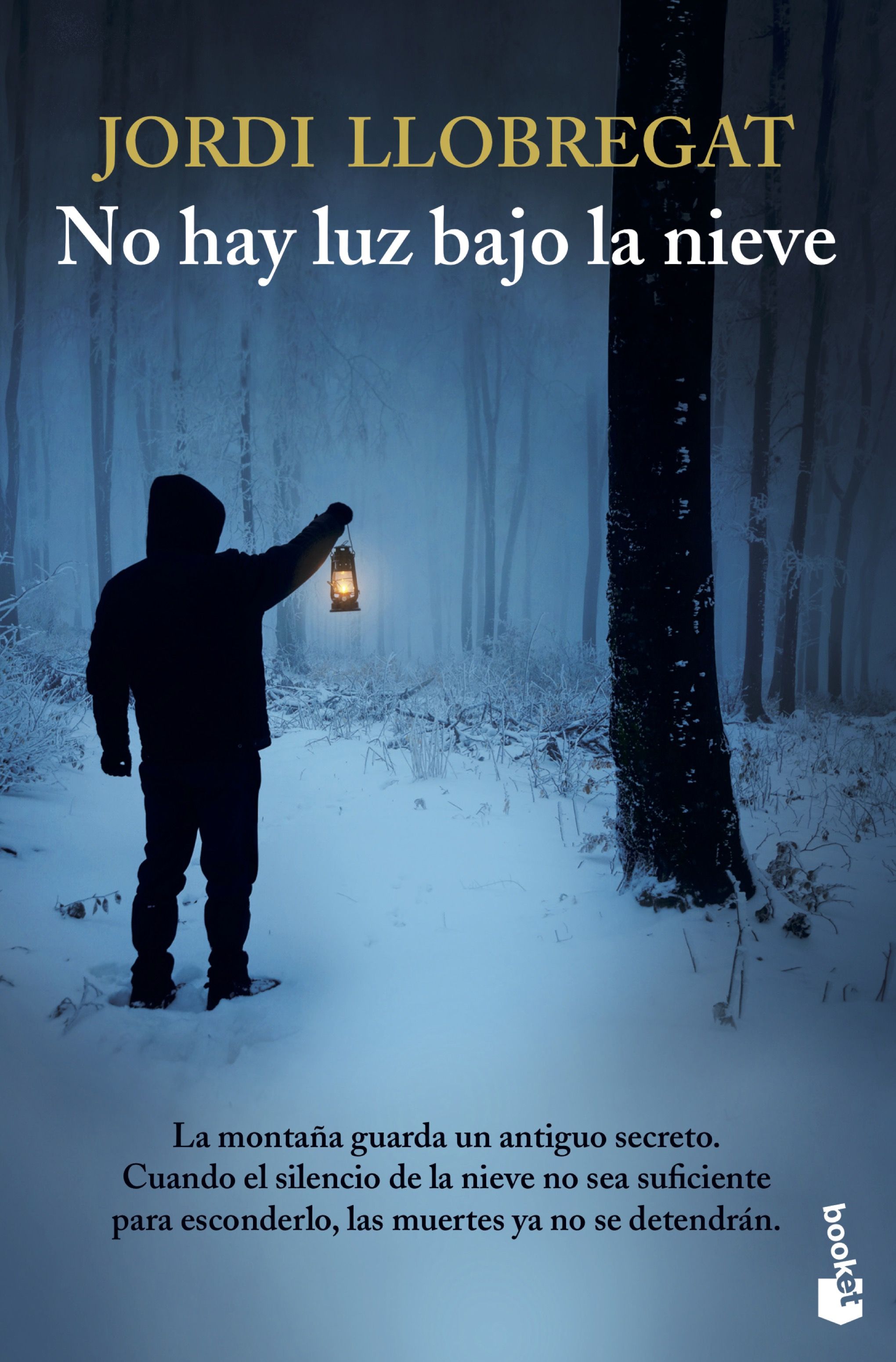 No hay luz bajo la nieve