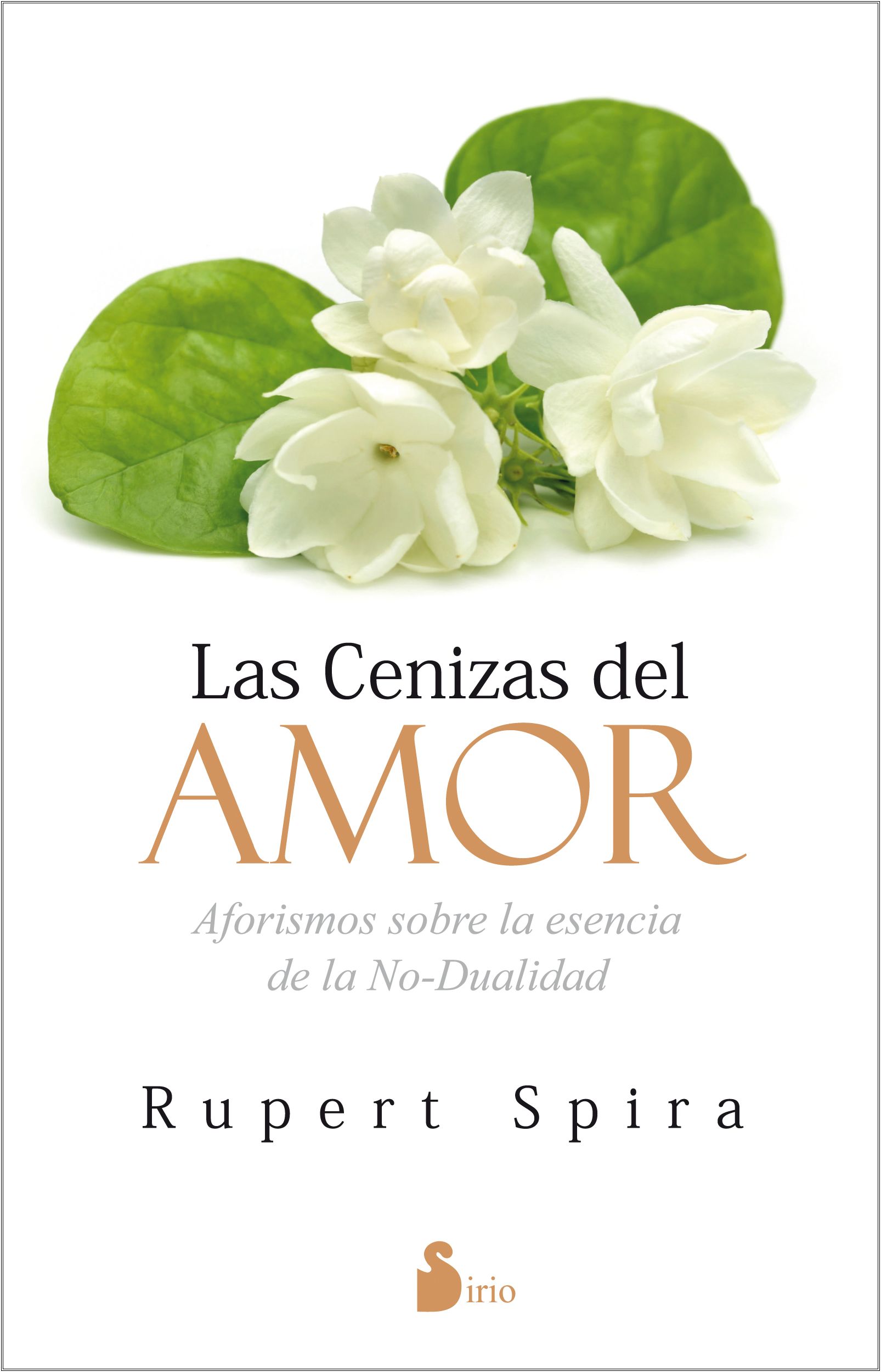 Las cenizas del amor