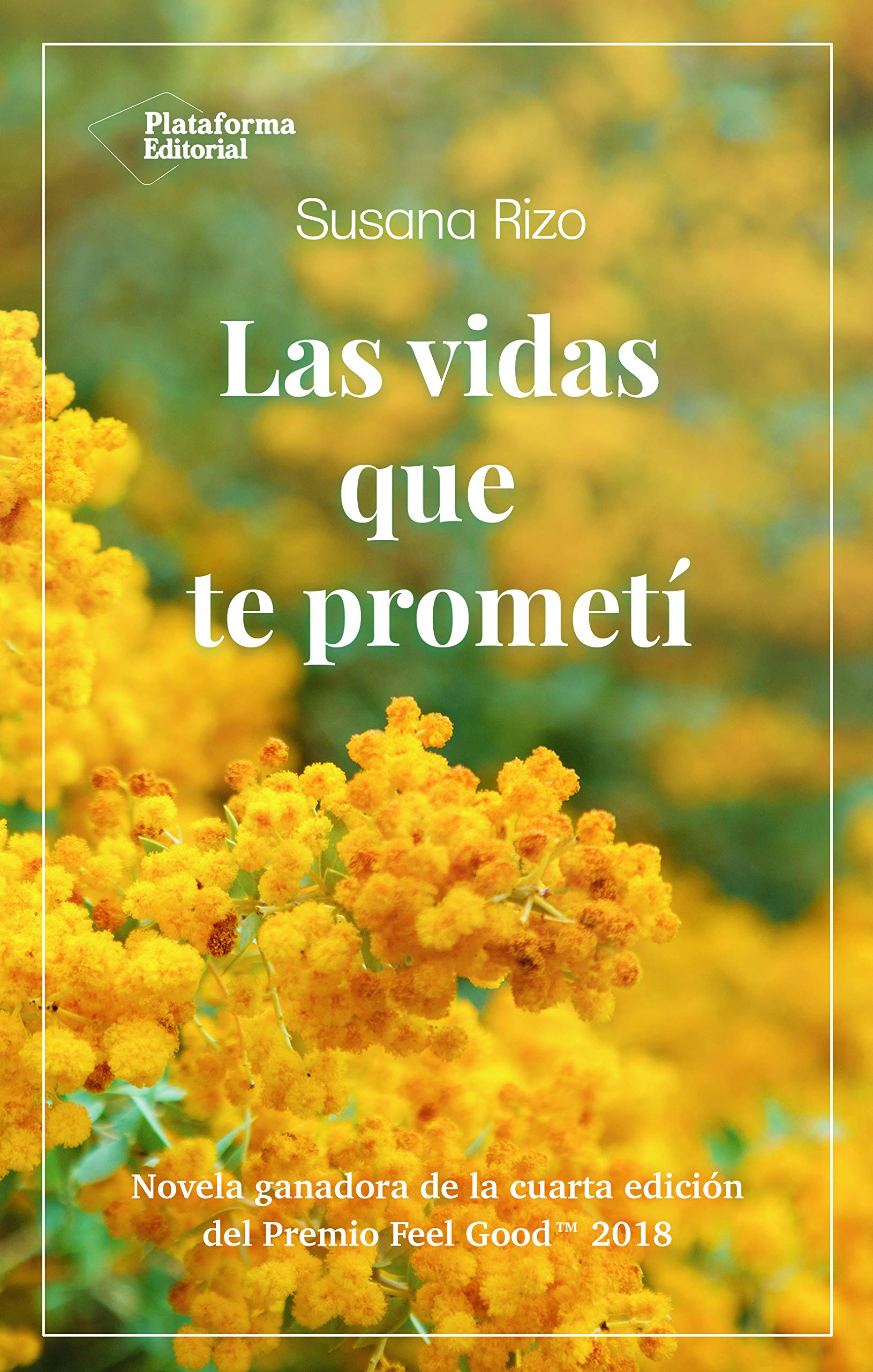 Las vidas que te prometí