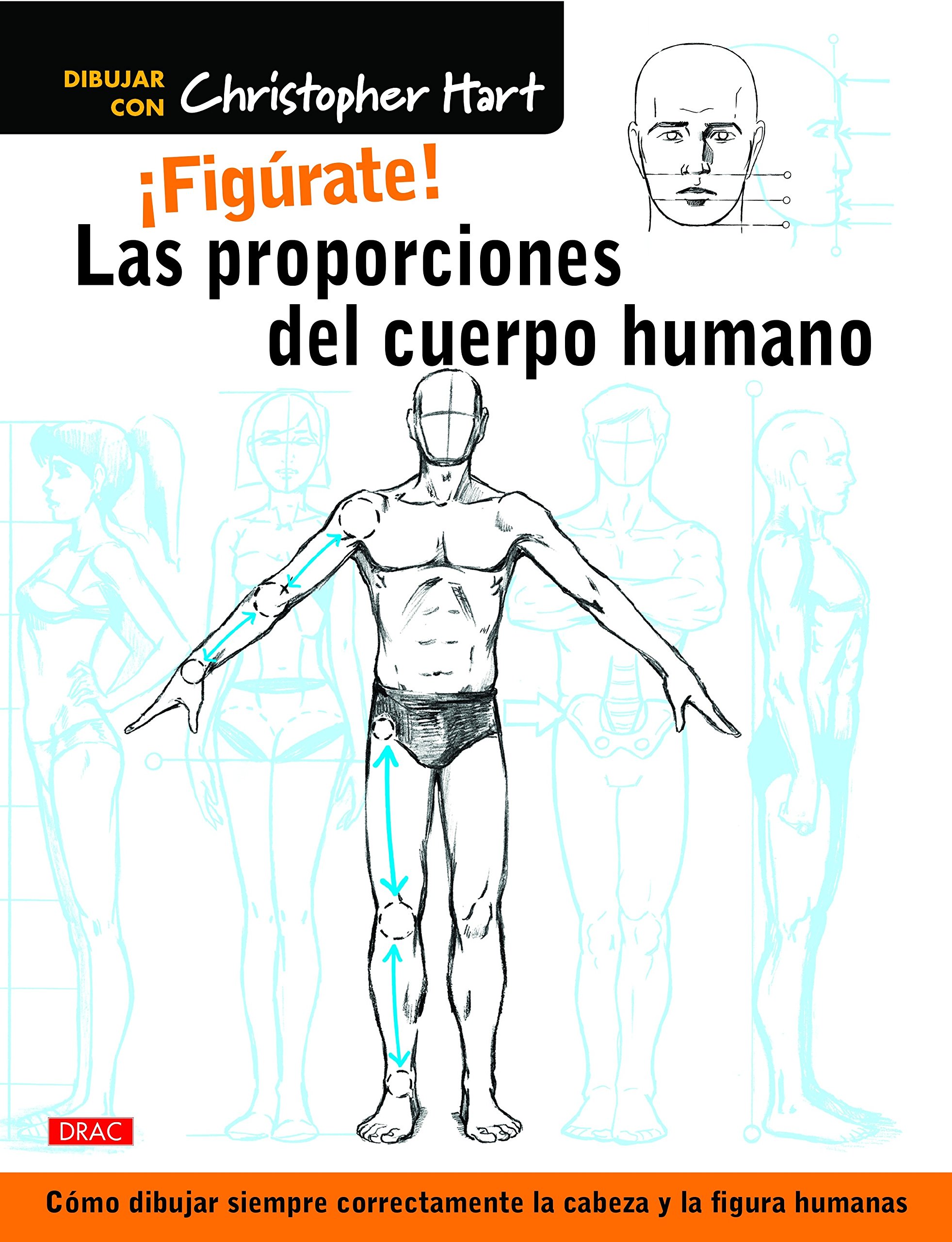 ¡Figúrate! Las proporciones del cuerpo humano. Cómo dibujar siempre correctamente la cabeza y la figura humanas