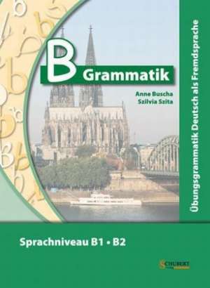 B-Grammatik (Sprachniveau B1/B2) + Audio-CD