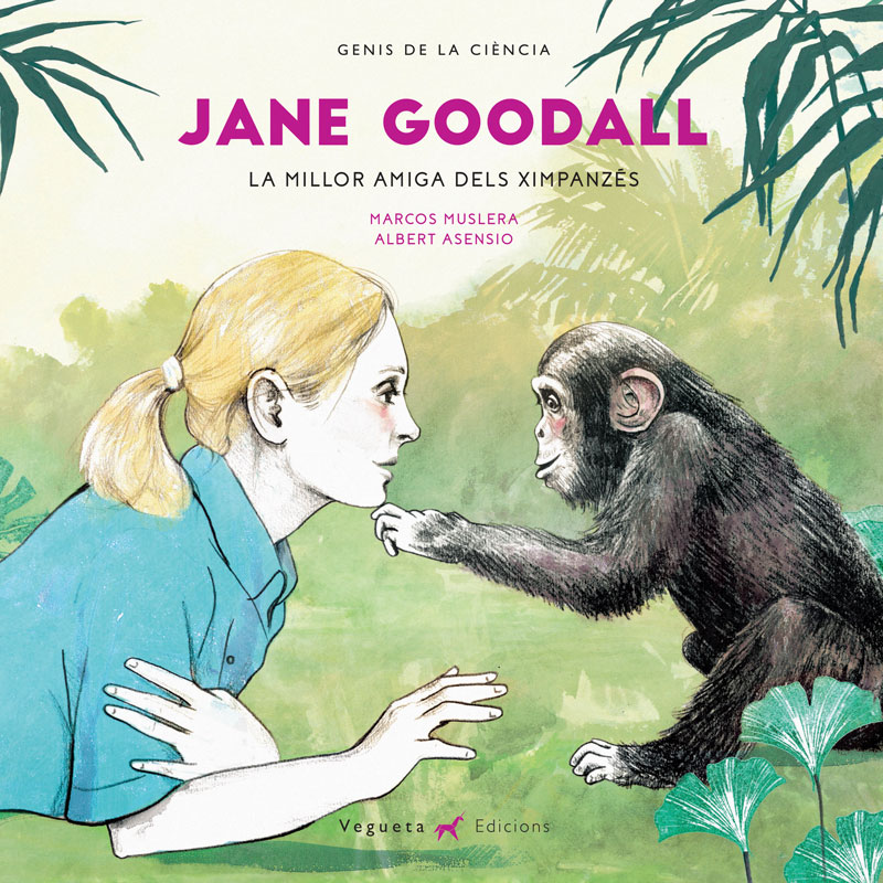 Jane Goodall, la millor amiga dels ximpazés