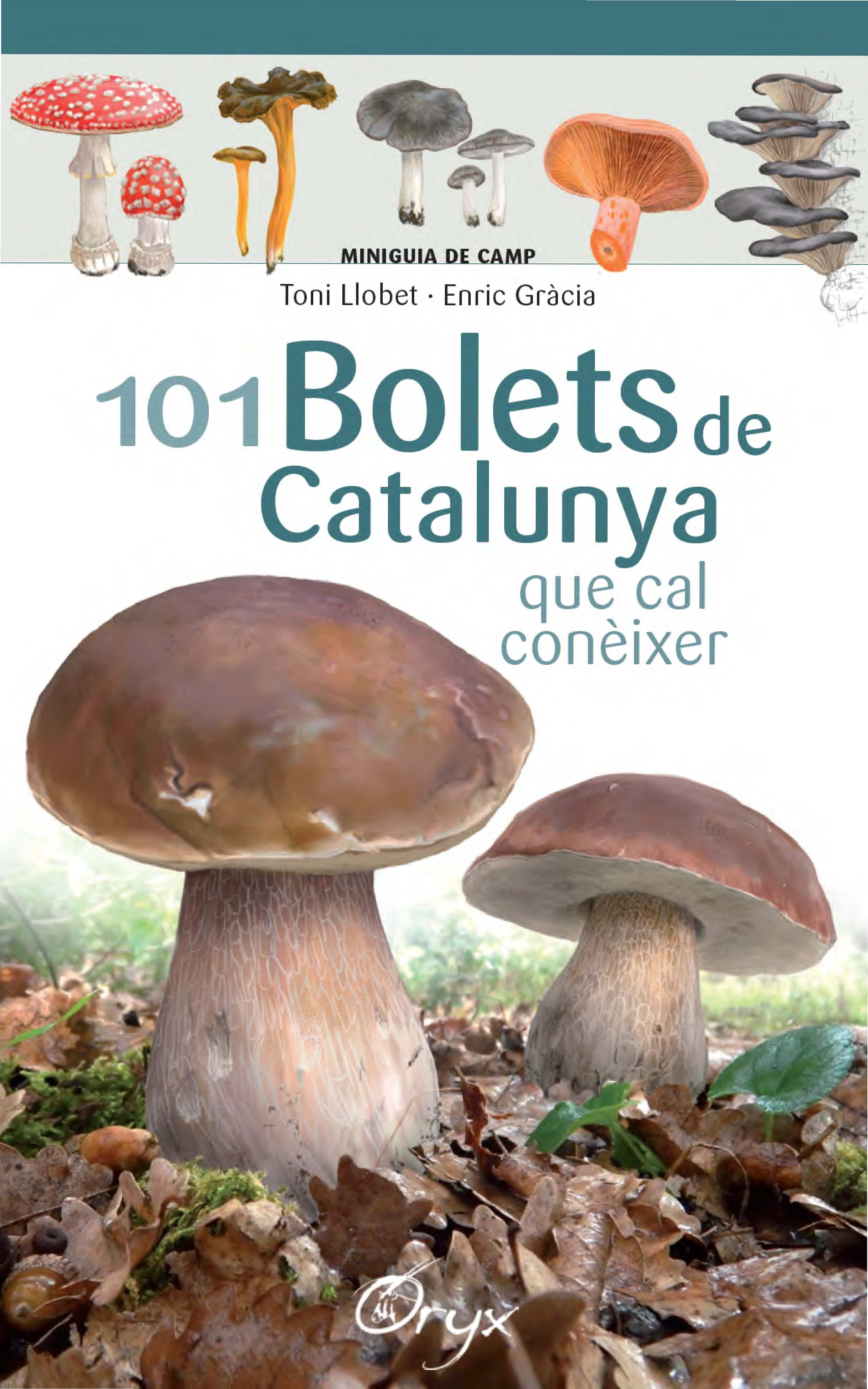 101 bolets de Catalunya. Que cal conèixer (Miniguia de camp)