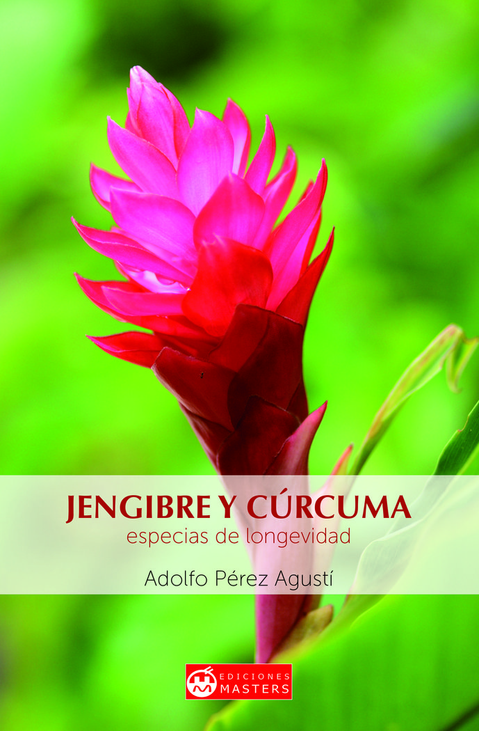 JENGIBRE Y CURCUMA