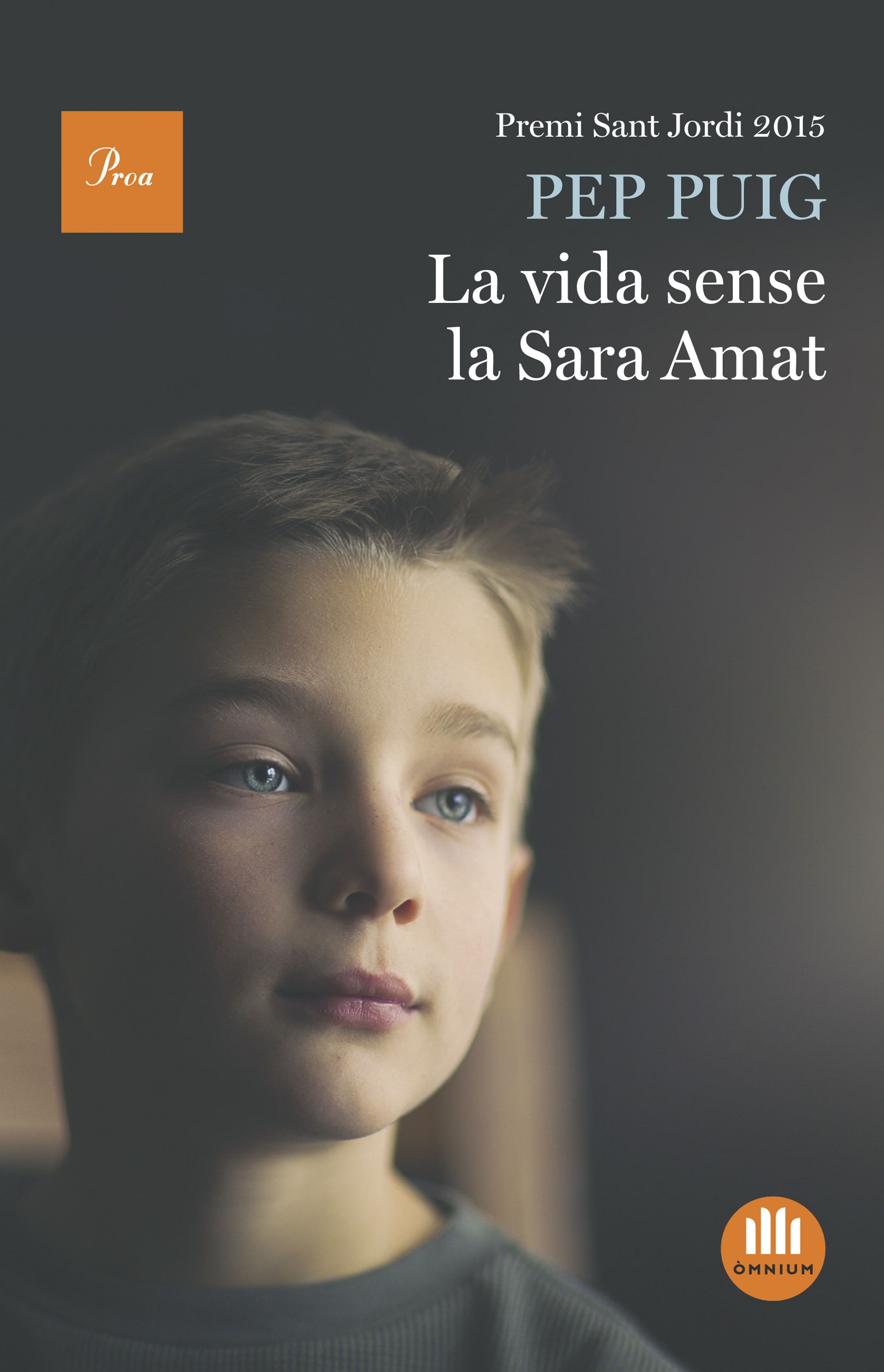 La vida sense la Sara Amat (Premi Sant Jordi 2015)