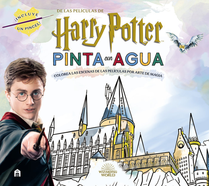 HARRY POTTER PINTA CON AGUA