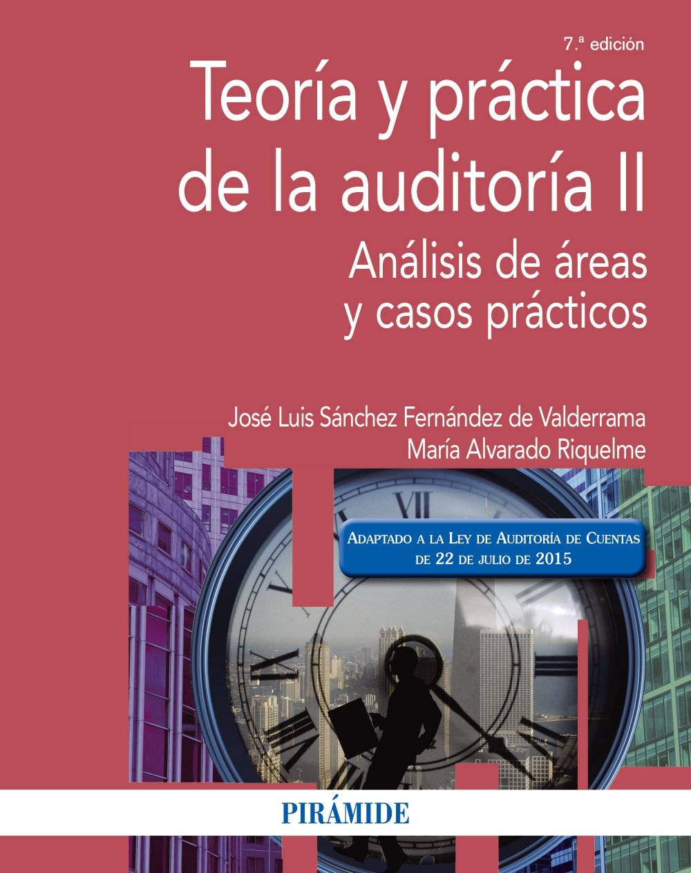 Teoría y práctica de la auditoría II. Análisis de áreas y casos prácticos