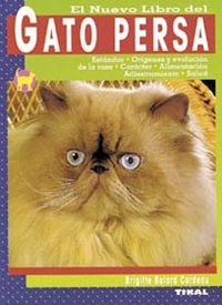 Gato persa