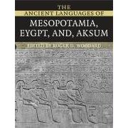 The Ancient Languages of Mesopotamia Egypt Aksum