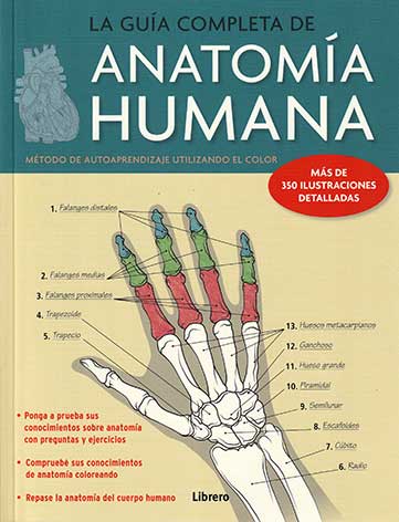 La guía completa de anatomía humana