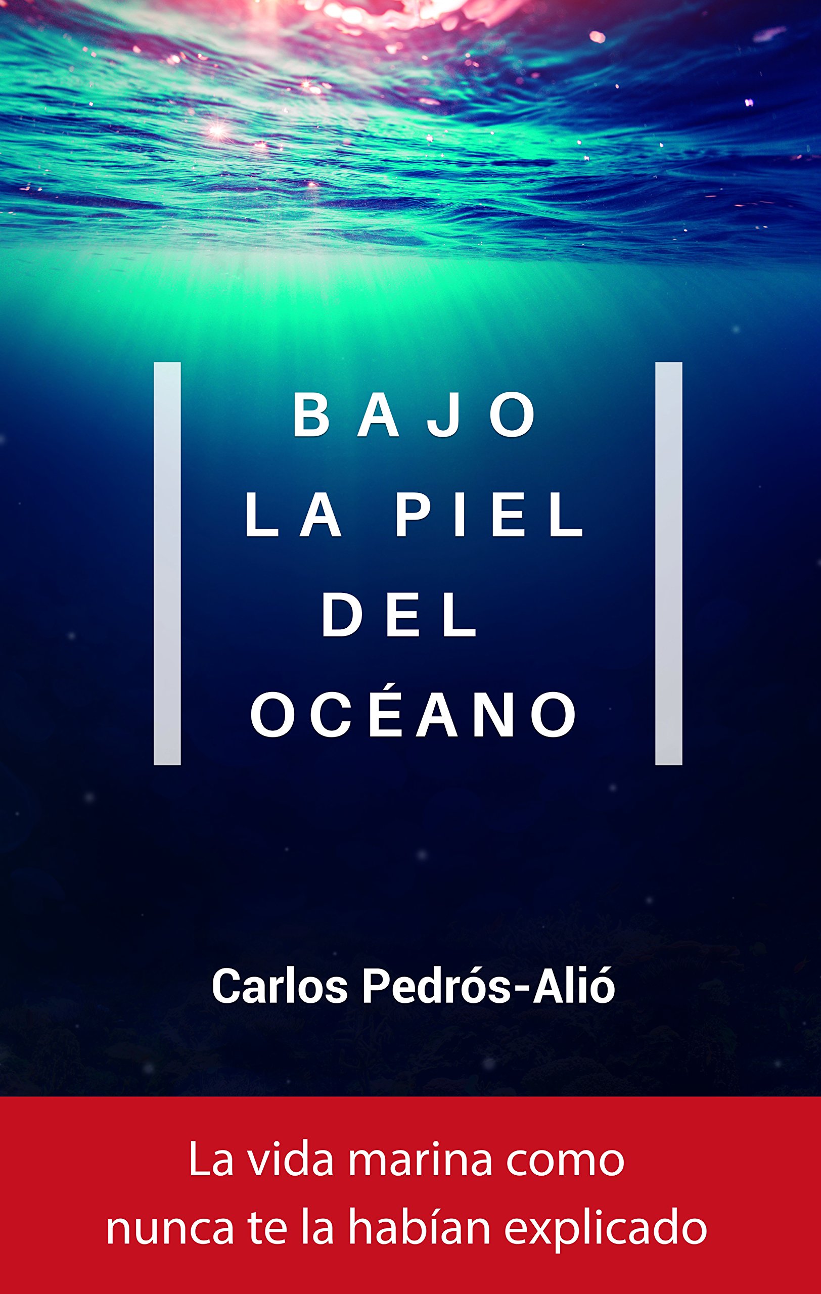 Bajo la piel del océano